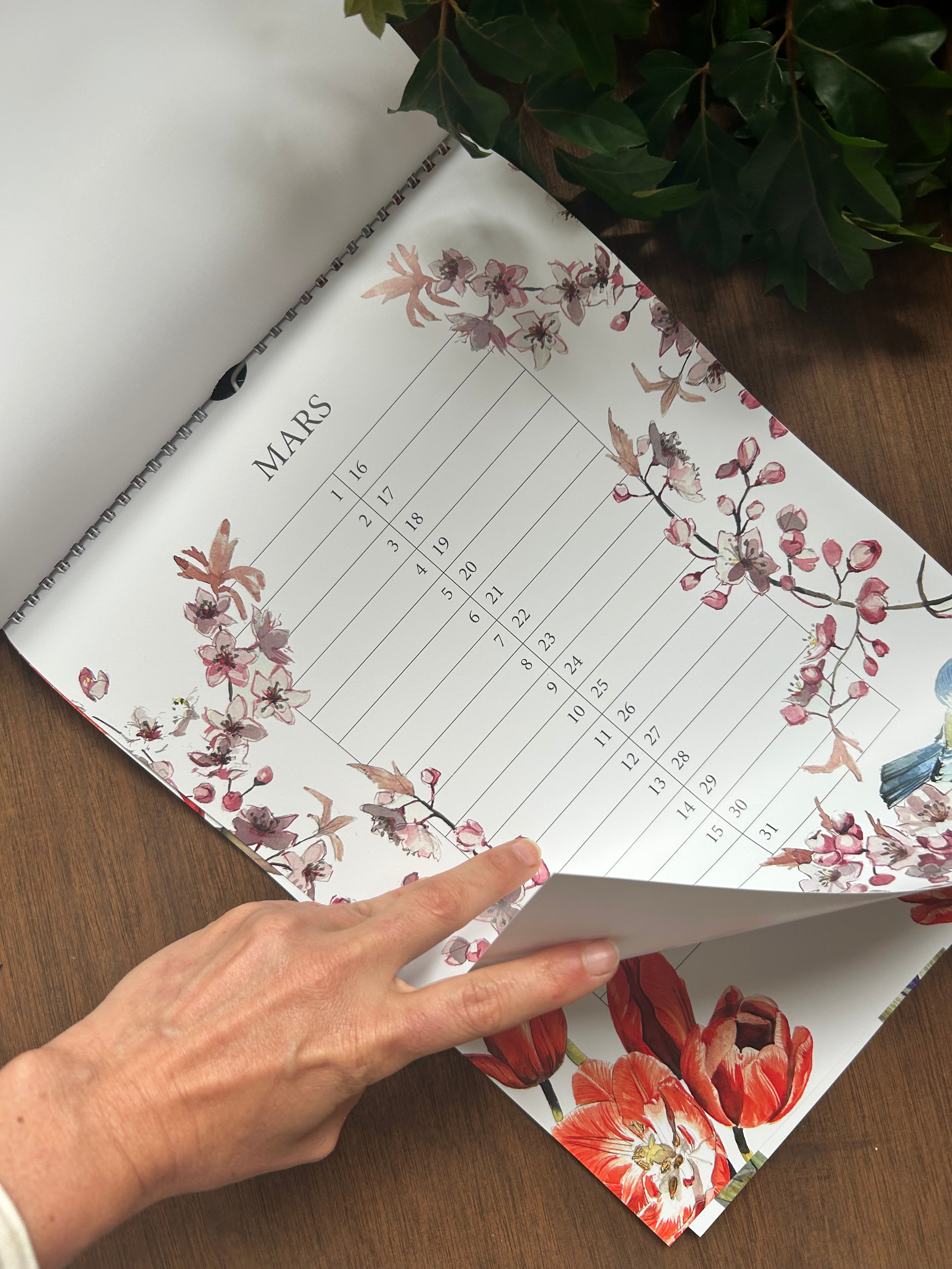 Birthday Calendar