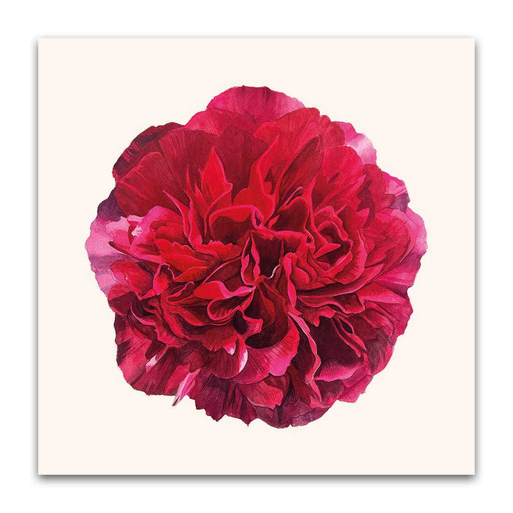 Red Peony