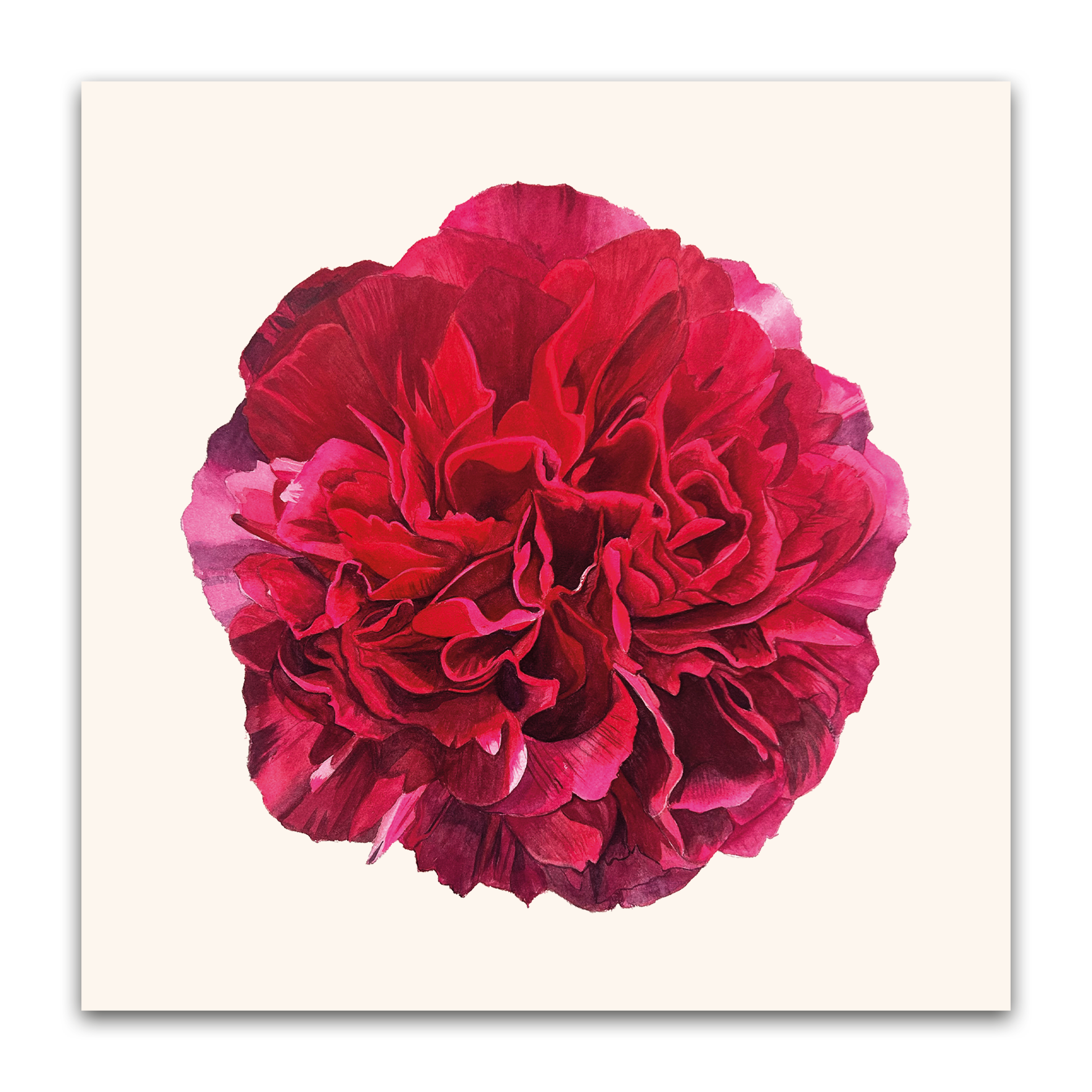Red Peony