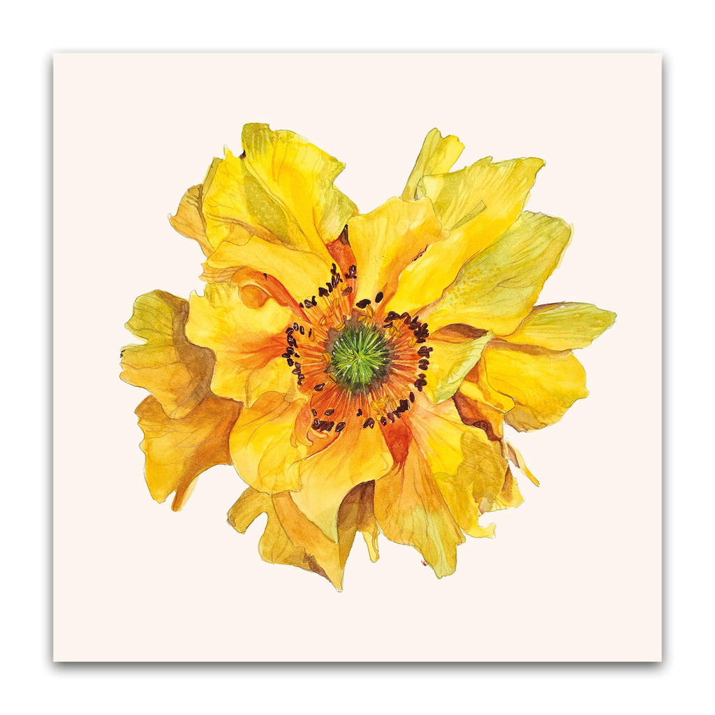 Yellow Geum