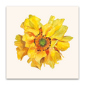 Yellow Geum