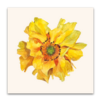 Yellow Geum