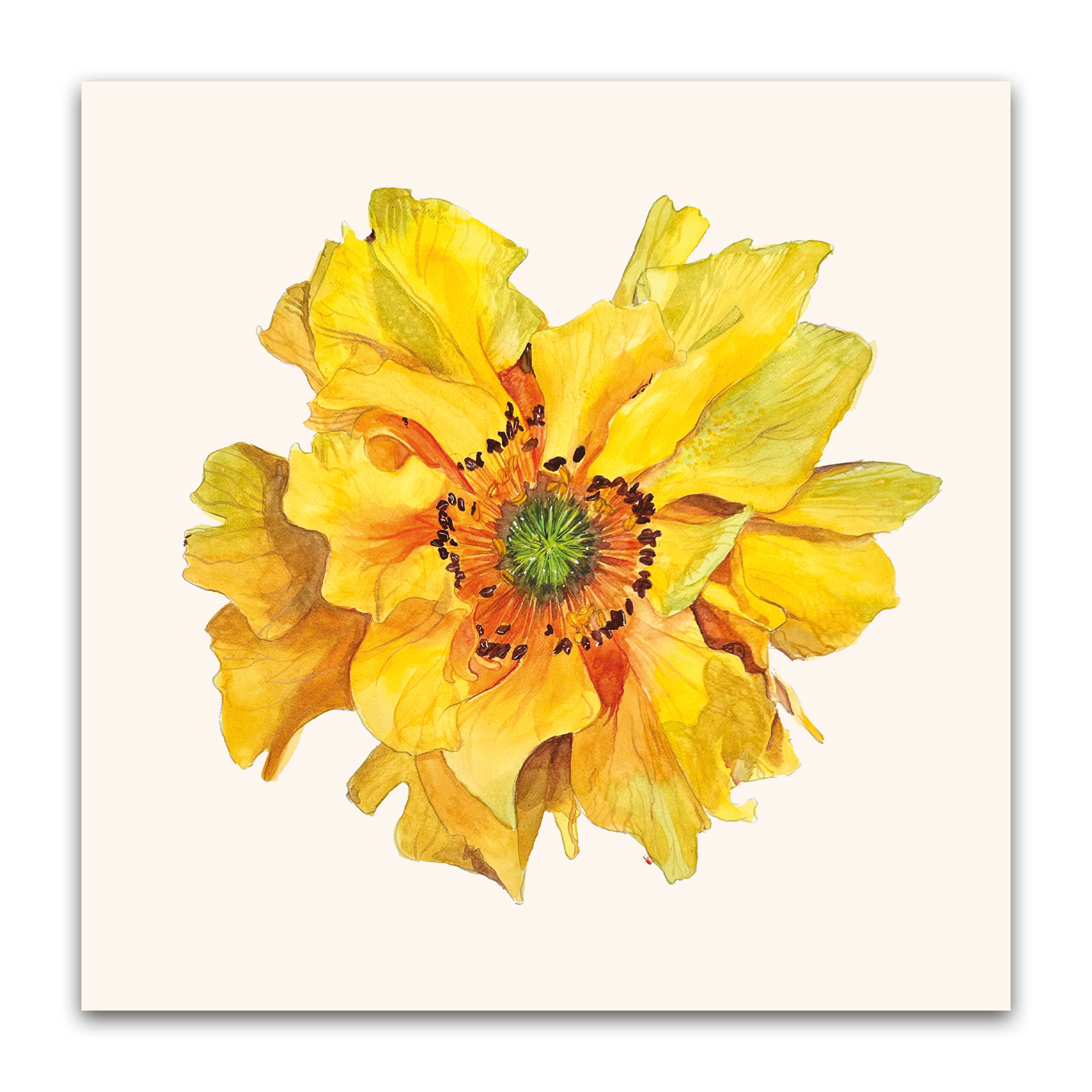 Yellow Geum