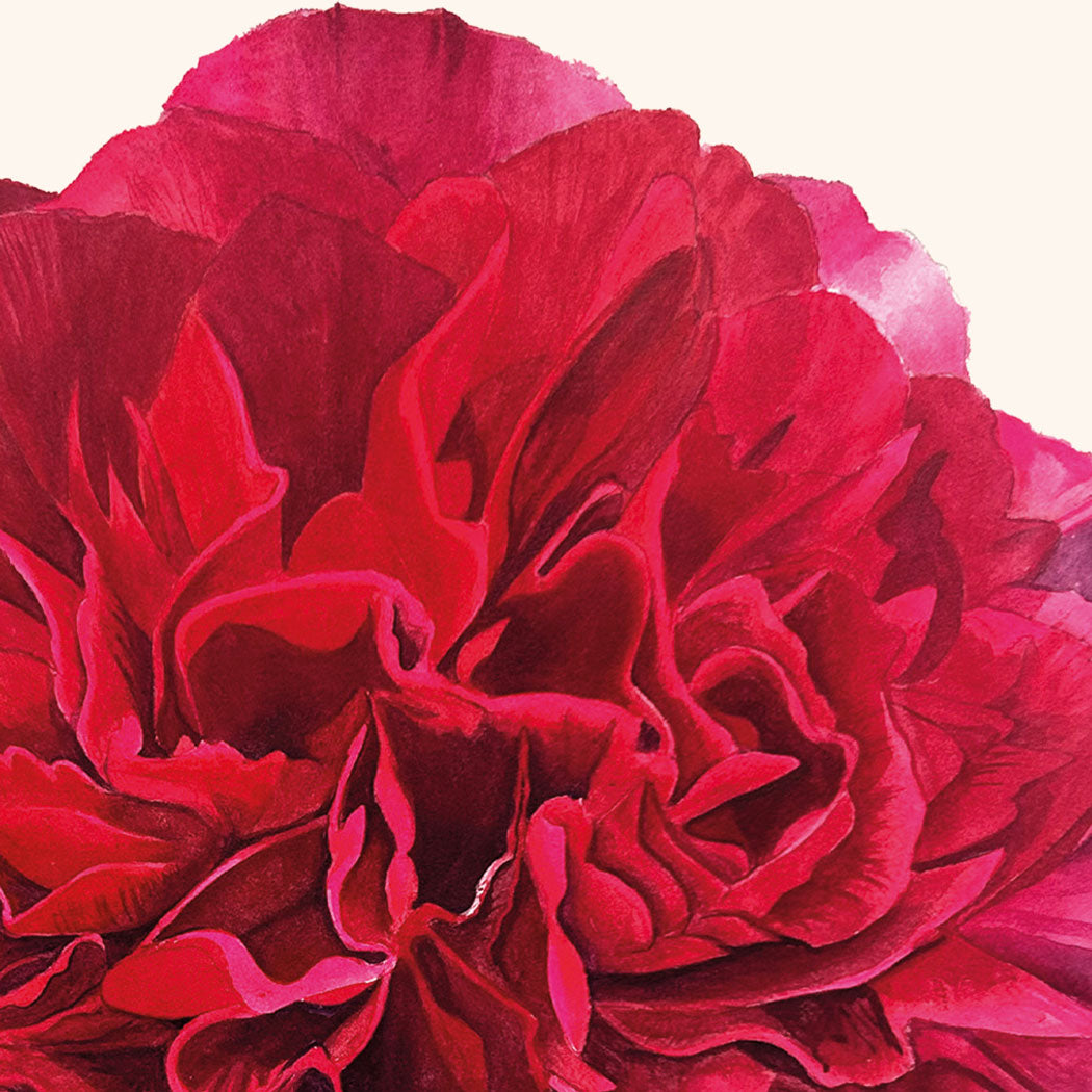 Red Peony