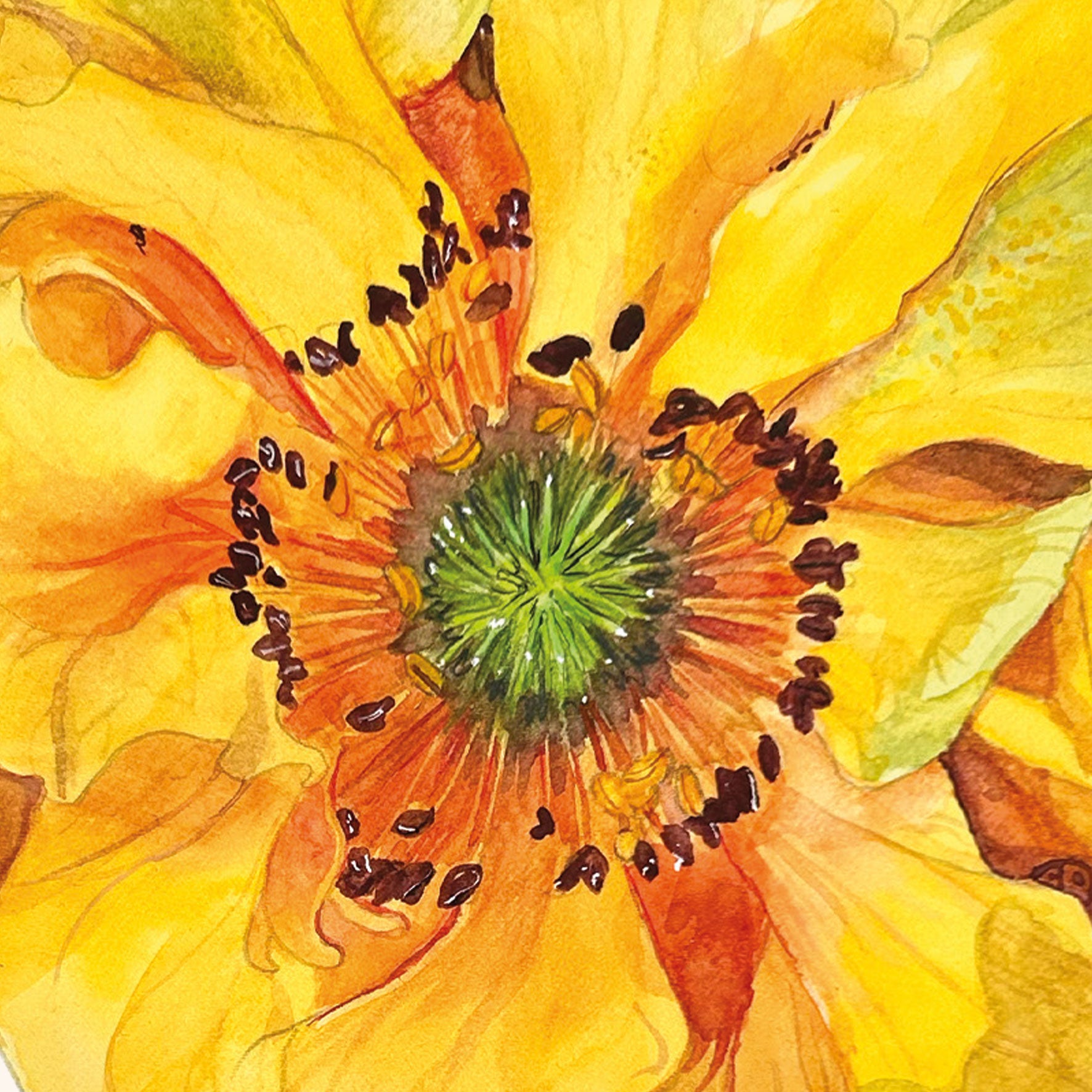 Yellow Geum