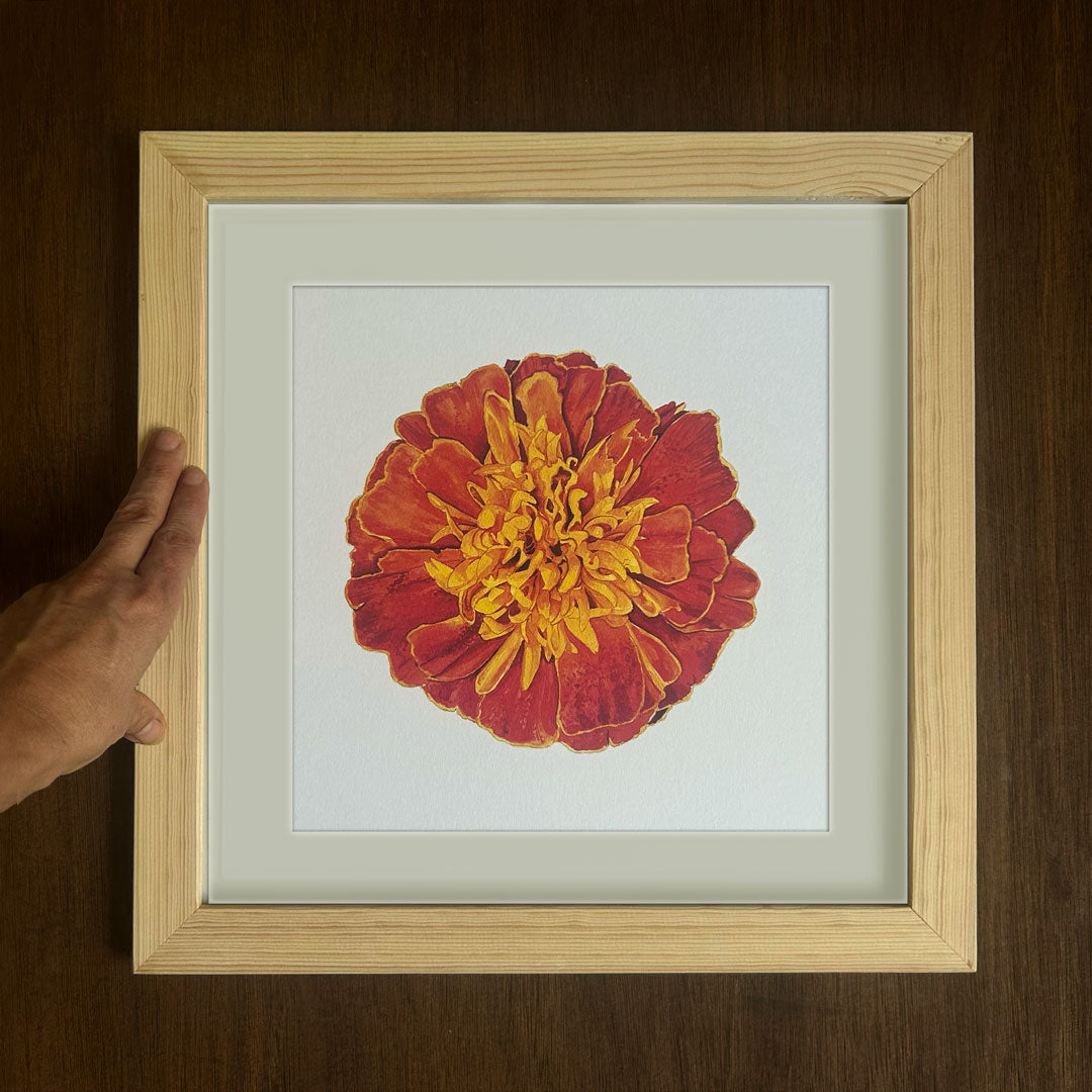 Marigold