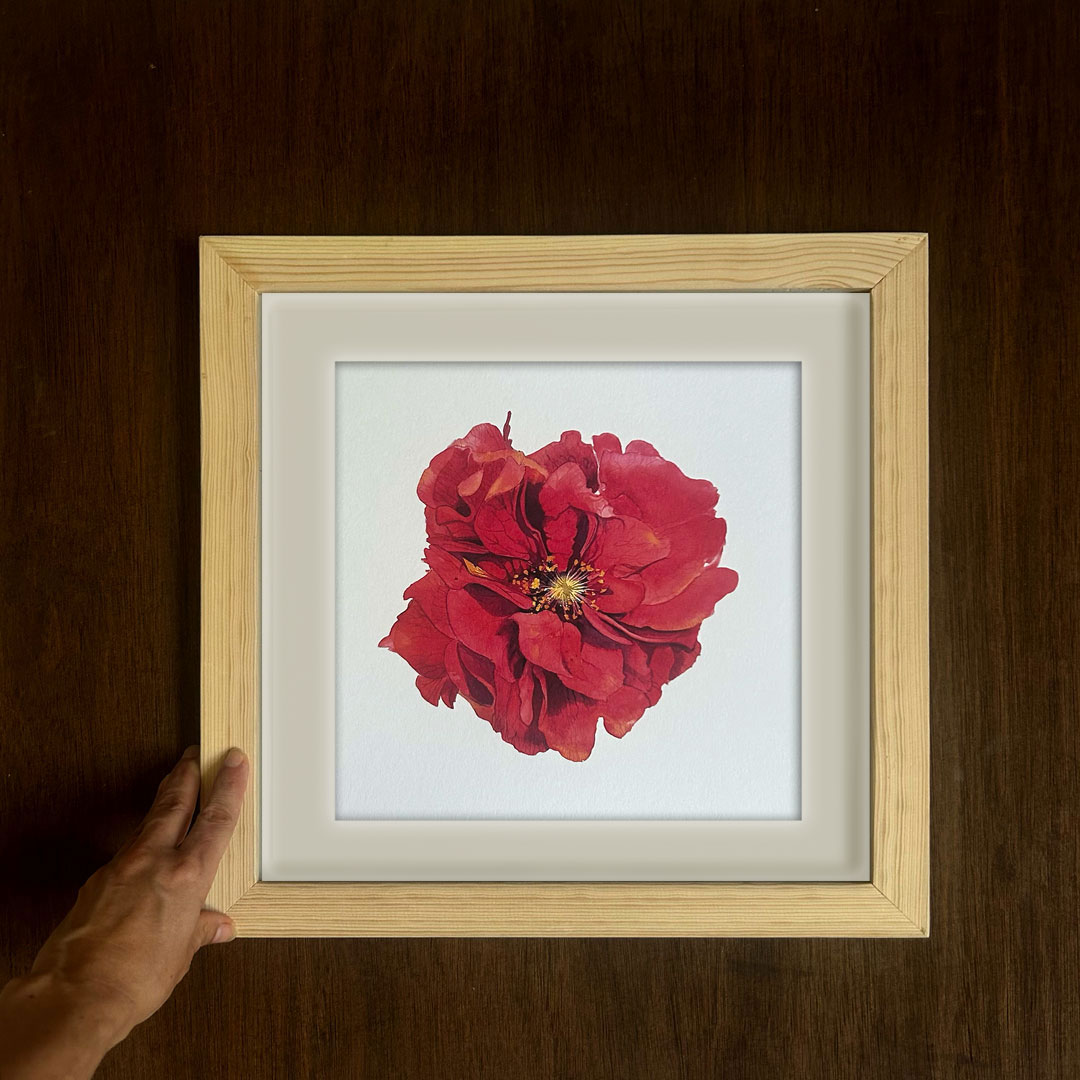 Red Geum