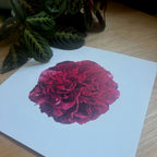 Red Peony