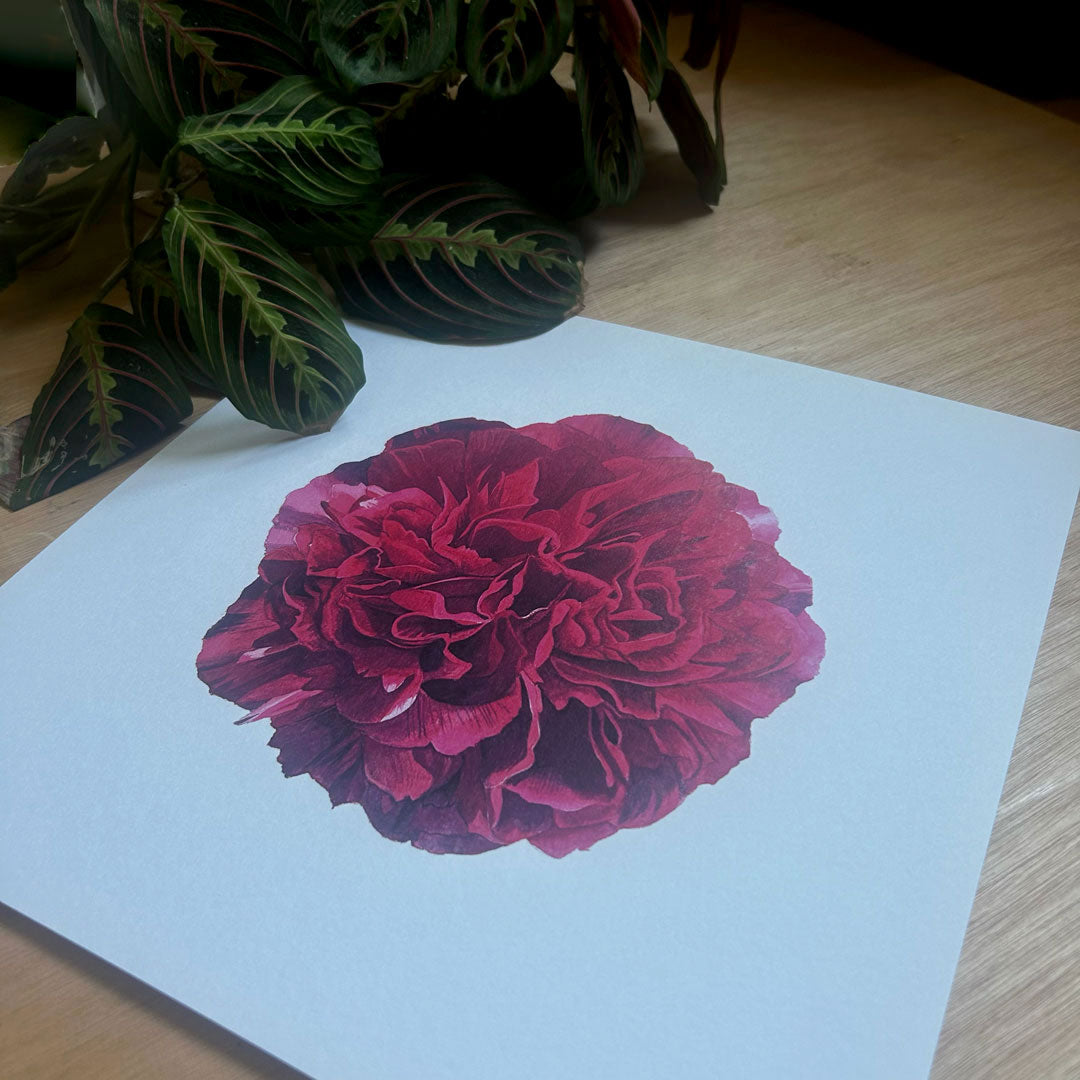 Red Peony