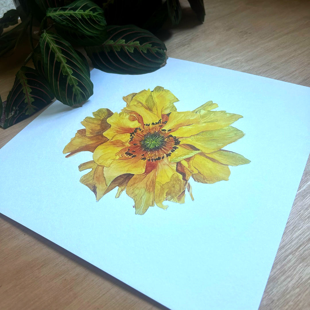 Yellow Geum