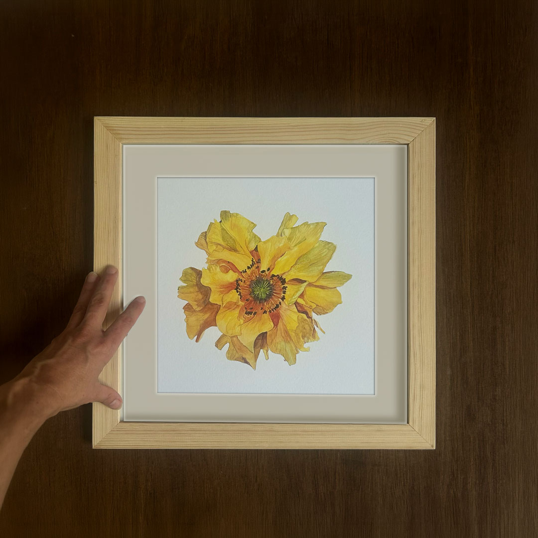 Yellow Geum